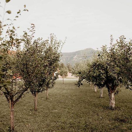 Vikendica Castanea Banja Zdrelo Villa เปโตรวัคนัมลาวี ภายนอก รูปภาพ